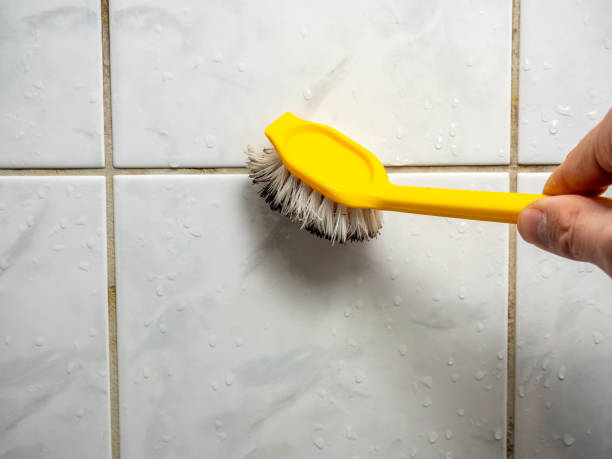 Professional Mold Remediation in Fort Lewis, WA