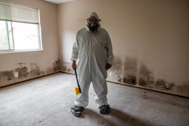 Professional Mold Remediation in Fort Lewis, WA